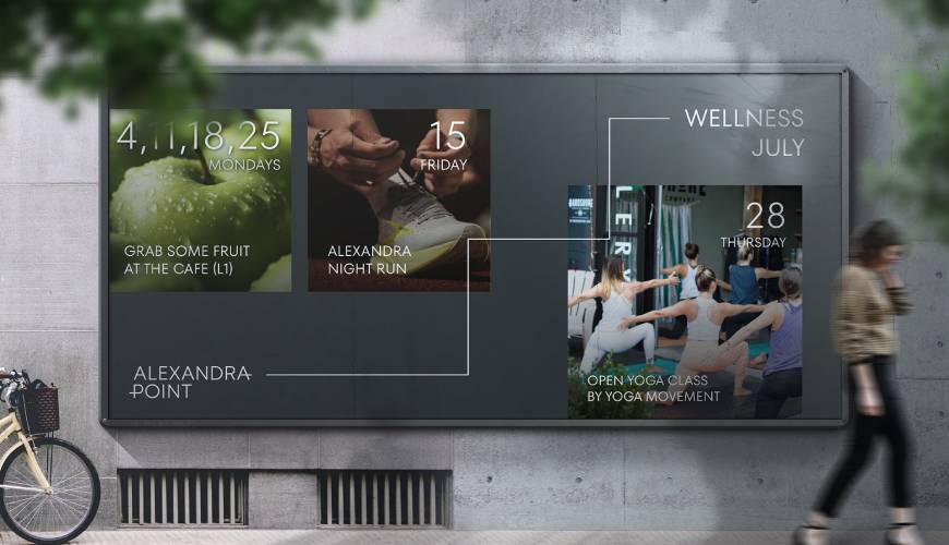 徐水县画册设计公司如何进行品牌审核