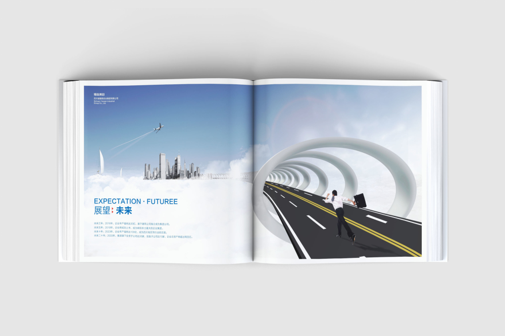 徐水县画册设计